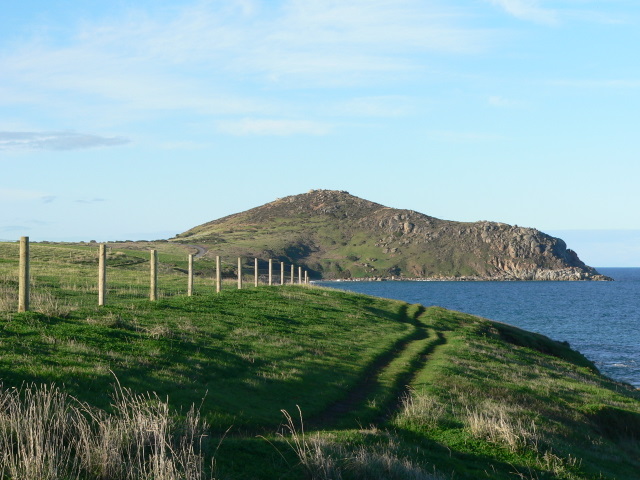 The Bluff (Rosetta Head)