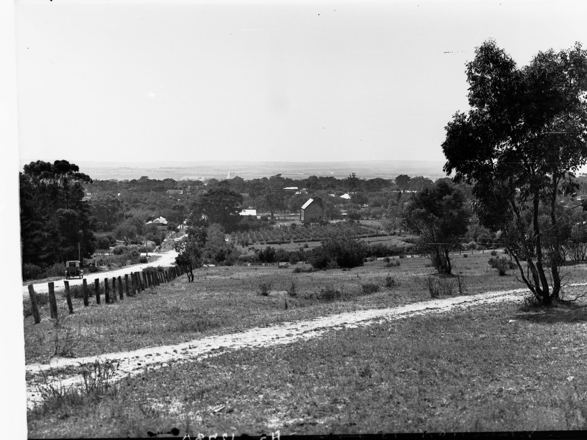 The Italian families who built modern McLaren Vale